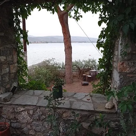 Natali's By The Sea