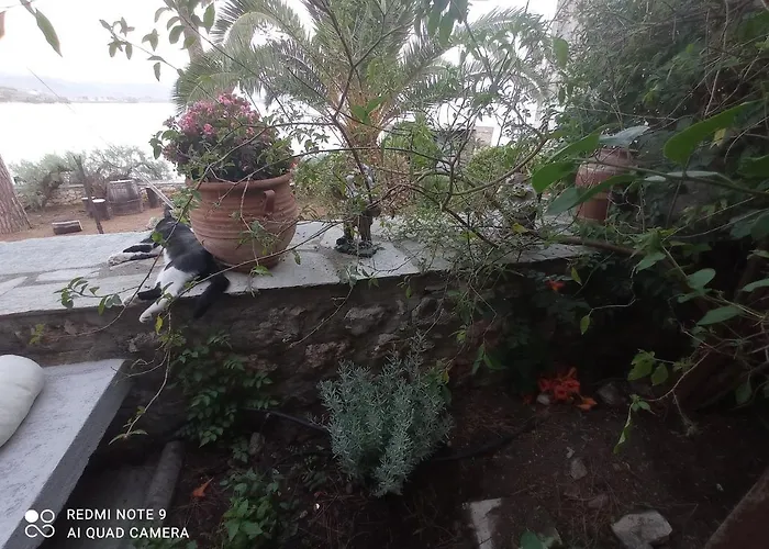 Natali's By The Sea Kato Gatzea